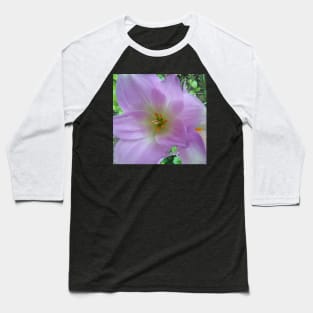 Fall Crocus Baseball T-Shirt